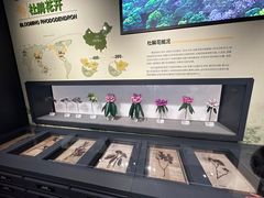 -四川大学博物馆
