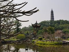 -顺峰山公园