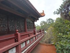 -三水森林公园孔圣园