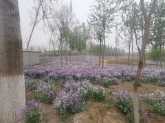 -东郊湿地公园