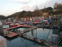 -马銮湾景区