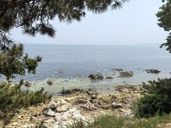 -养马岛旅游度假区