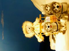 -成都泰迪熊博物馆