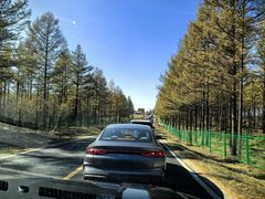 -塞罕坝国家级自然保护区