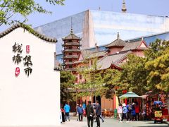-青岛方特梦幻王国