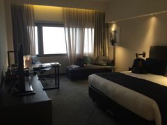 -新加坡乌节希尔顿酒店 (SG Clean)