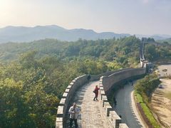 -黄贤森林公园