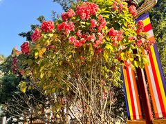 -西双版纳总佛寺