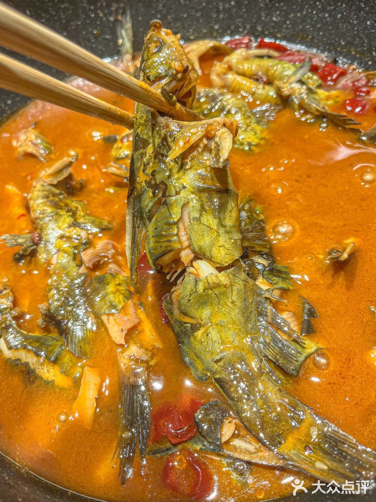 会跳舞的黄辣丁就在小小河边鱼！