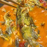 会跳舞的黄辣丁就在小小河边鱼！