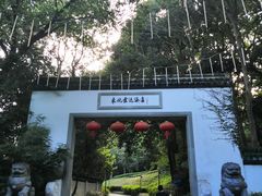 -东航云逸酒店(九溪烟树店)