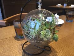 iphone_upload_pic-菩提树·素食餐厅(汇智国际商业中心店)