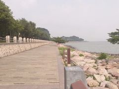 -深圳湾公园(南山区)