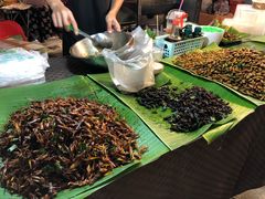 -席娜卡琳火车铁道夜市