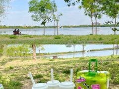 -天津东丽湖风景区