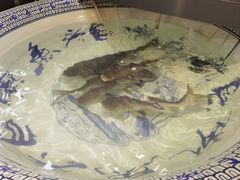 -南京金牛湖巨碗鱼头