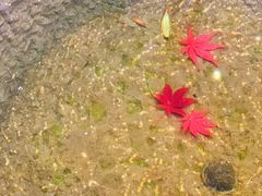 -西安关中民俗艺术博物院