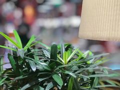 -西西弗书店&矢量咖啡(凯德晶萃广场店)