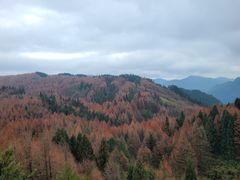 -山王坪喀斯特国家生态公园