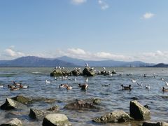 -深圳湾公园(南山区)