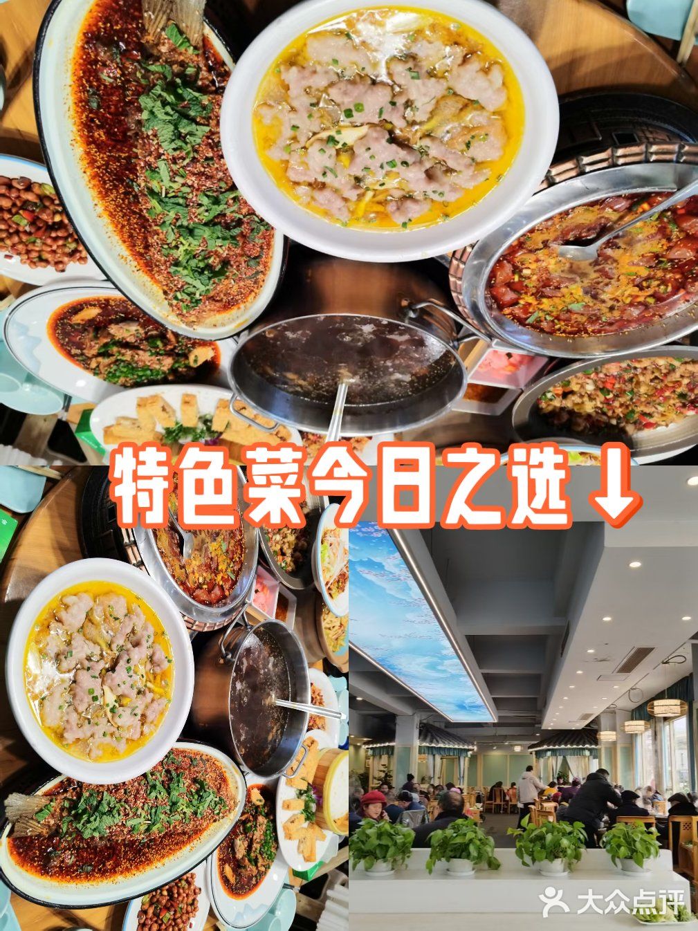 特色菜今日之选