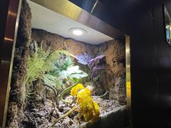 -野菌皇海景野生菌火锅(滨海大道店)
