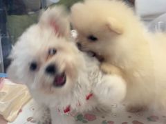 -汇德隆银隆