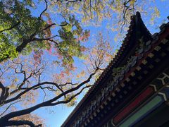 -灵谷景区