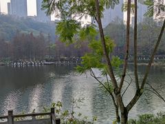 -重庆彩云湖湿地公园