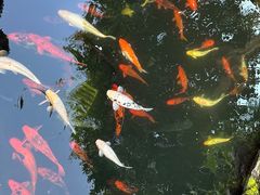 -麦园农庄·西江河鲜