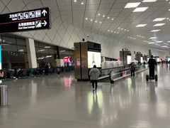 -郑州新郑国际机场-T2航站楼