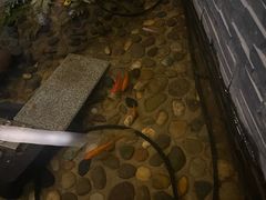 -纽斯洗浴SPA(三墩店)