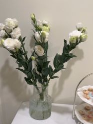 -海涛医疗美容·面部抗衰·注射美鼻