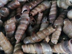 -宾朋海鲜美食特色餐厅·纯手工鲅鱼水饺(兴海路店)