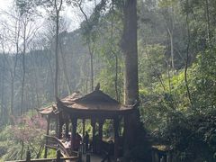 景点-青城山