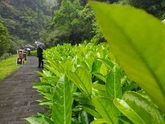 -神龙峡风景区