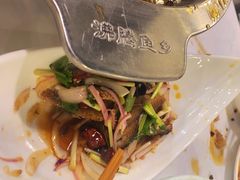 -沸腾鱼乡(知春路分店)