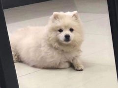 -长安大学(北校区)