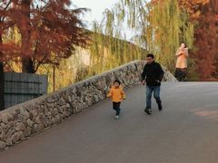 -乌村