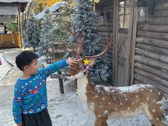 -HERRE·FARM 赫尔露营农场·团建聚会包场