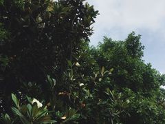 -千龙湖生态旅游度假区