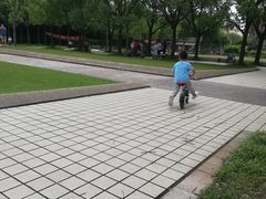 -新江湾城公园