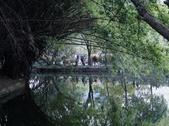 -棠湖公园