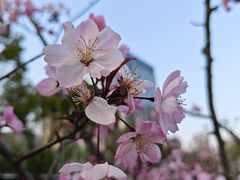 -后襄河公园