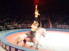 iphone_upload_pic-武汉杂技厅