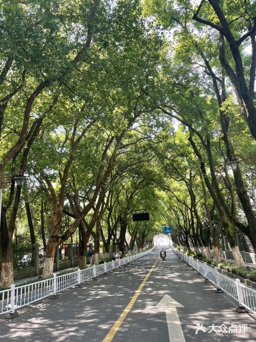 杭州半山国家森林公园图片