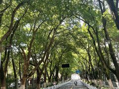 -杭州半山国家森林公园