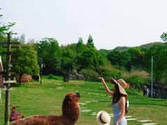 -天目湖涵田度假村