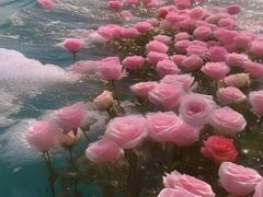 -丁记面馆(凤凰店)