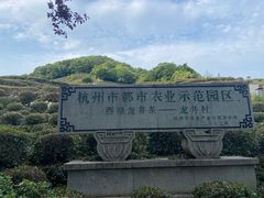 -龙井村
